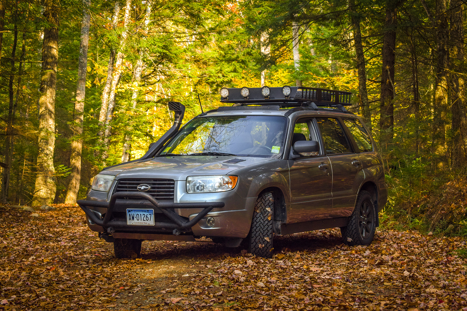 Forester on road trip